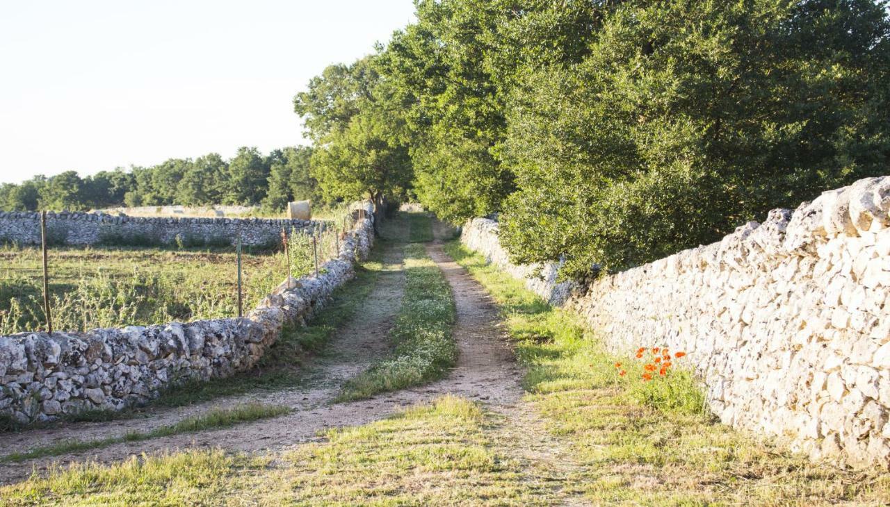 Trulli Sul Vignale In Masseria Santalachicca Martina Franca Exteriör bild