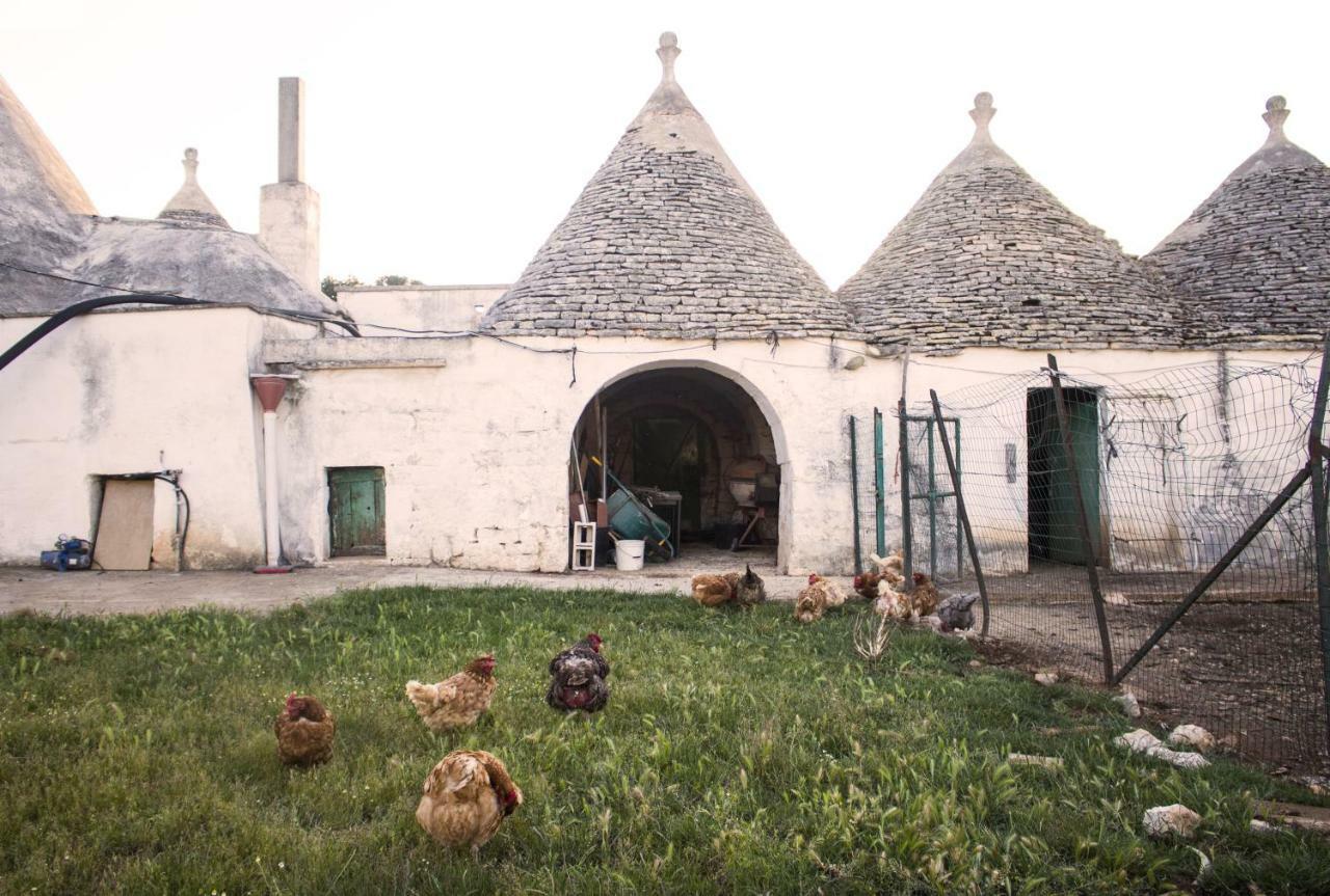 Trulli Sul Vignale In Masseria Santalachicca Martina Franca Exteriör bild
